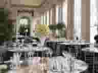 Wedding Reception