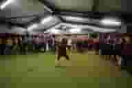 Party Venues