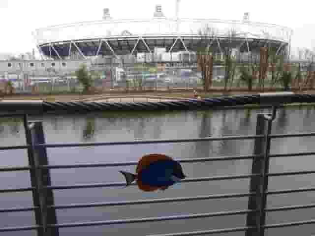 Forman's Fish Island