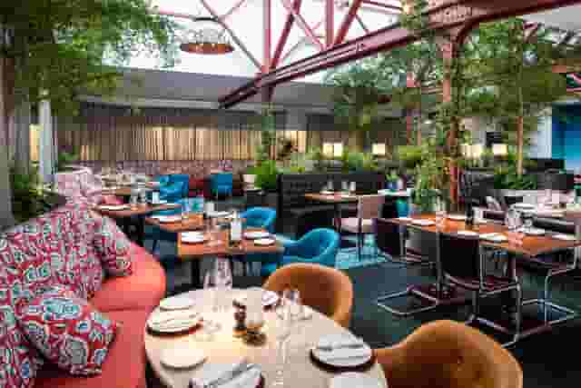 Bluebird Chelsea