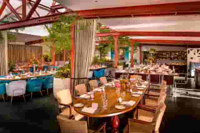 Bluebird Chelsea