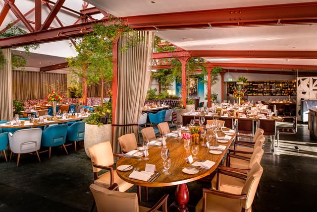 Bluebird Chelsea