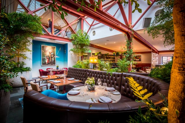 Bluebird Chelsea