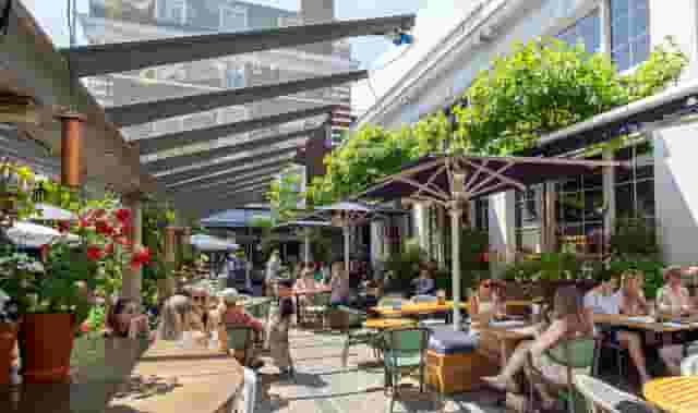 Bluebird Chelsea