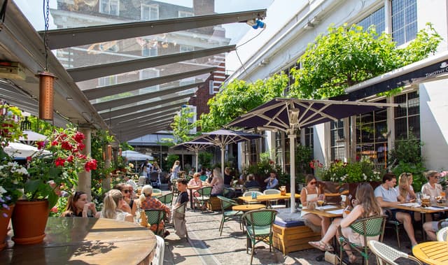 Bluebird Chelsea