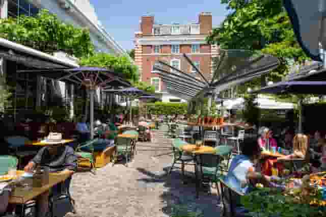 Bluebird Chelsea