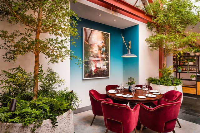 Bluebird Chelsea