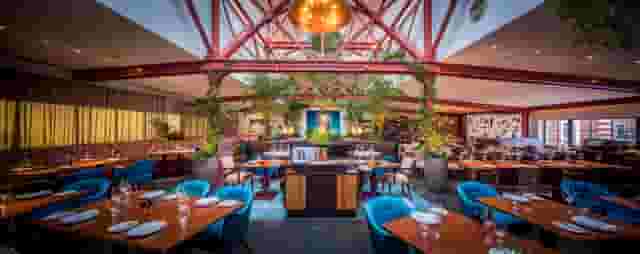 Bluebird Chelsea