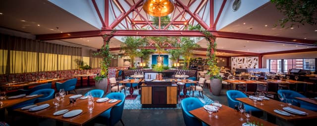 Bluebird Chelsea