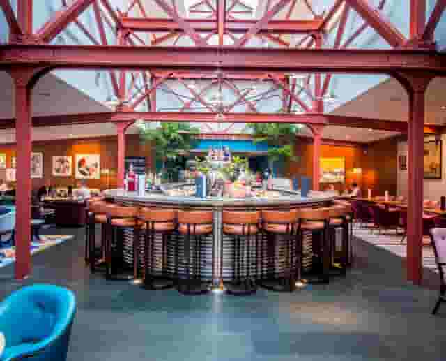 Bluebird Chelsea