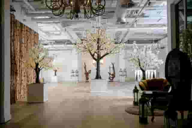 Bluebird Chelsea