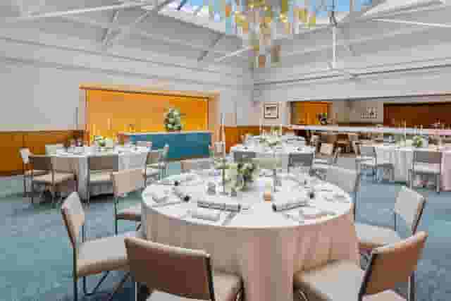 Bluebird Chelsea