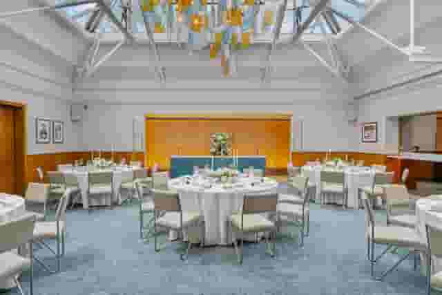 Bluebird Chelsea
