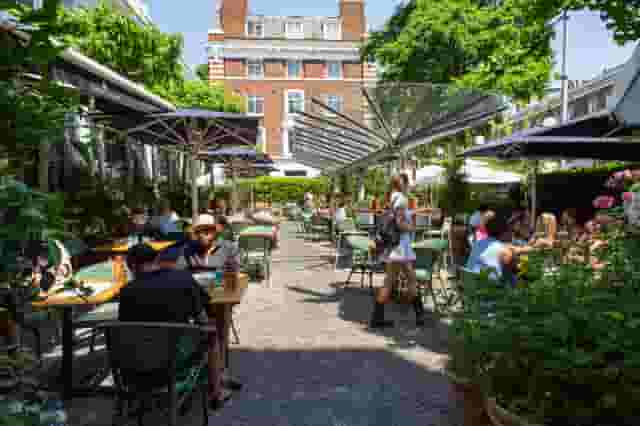 Bluebird Chelsea