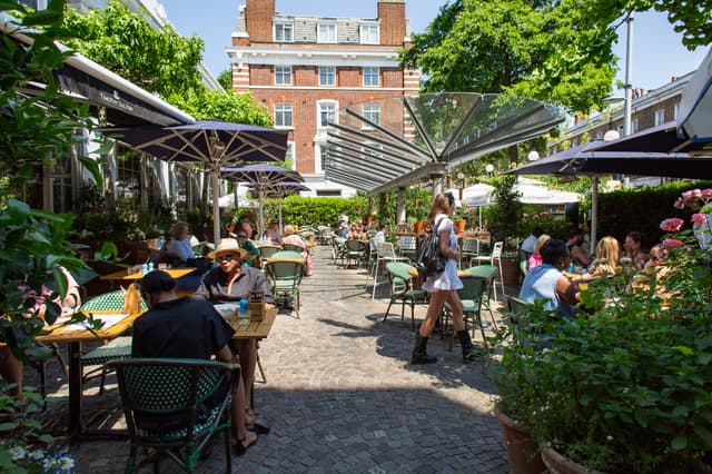 Bluebird Chelsea