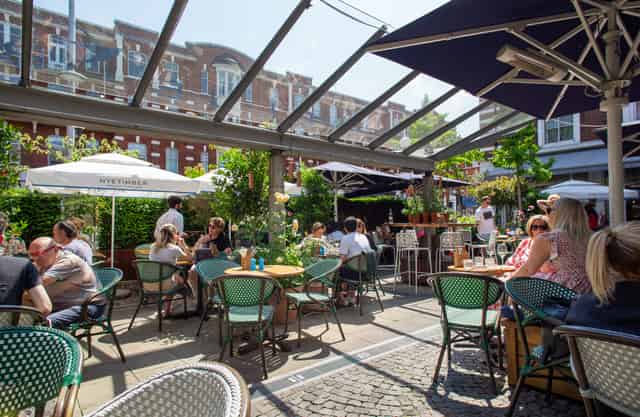 Bluebird Chelsea
