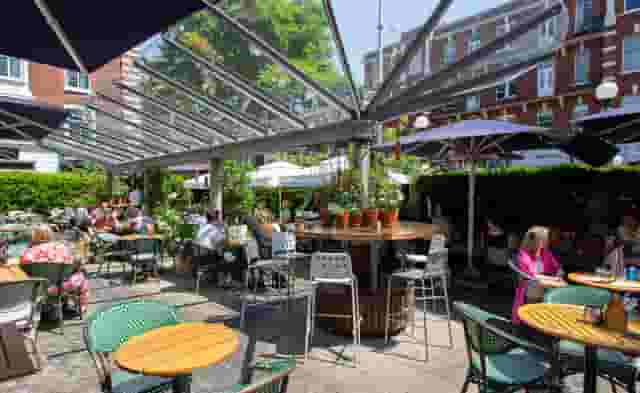 Bluebird Chelsea