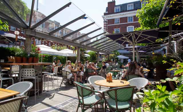 Bluebird Chelsea