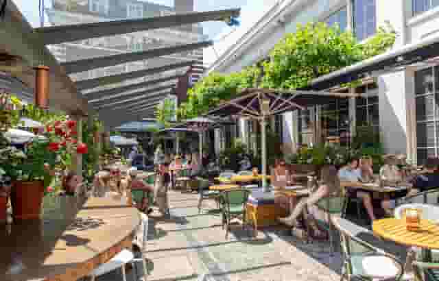Bluebird Chelsea