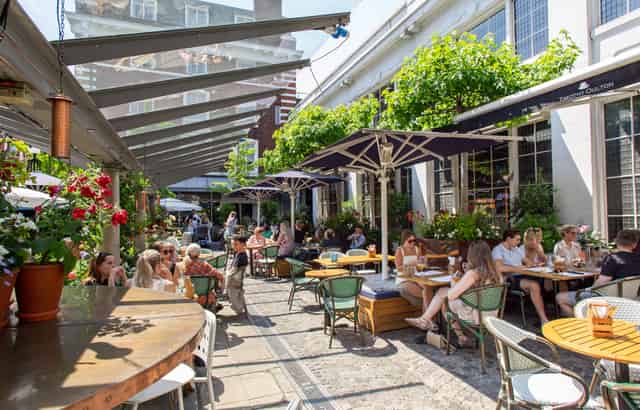 Bluebird Chelsea