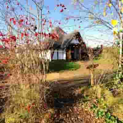 WWT London Wetland Centre