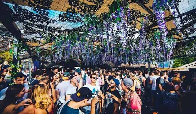 The Roof Garden