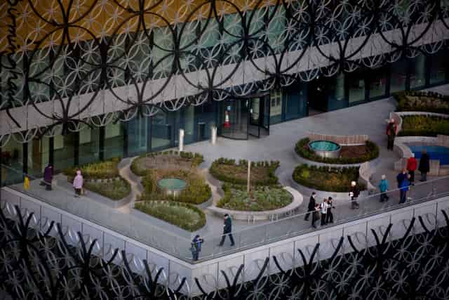 Discovery Terrace
