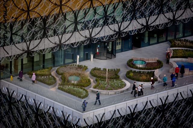 Discovery Terrace