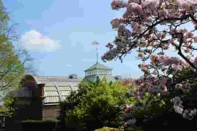 Horniman Museum and Gardens