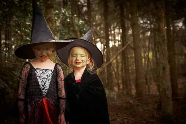 The Forest Works - Forest of Dean