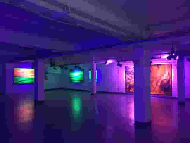 Whole Venue