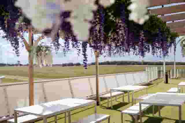 The Gallops Suite