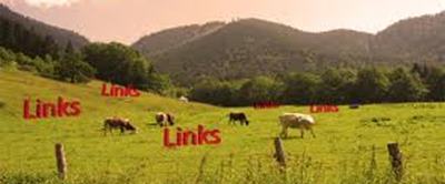 Link Farms