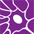 Lifescience Dynamics logo